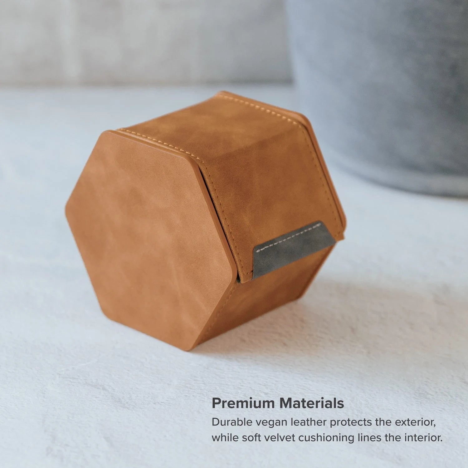 Premium Electronic Watch Travel Case